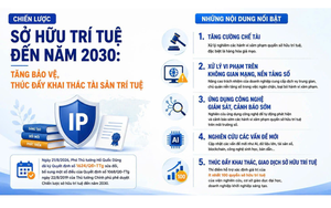 Đưa hợp tác Việt Nam - Hoa Kỳ về sở hữu trí tuệ thành hình mẫu tham khảo- Ảnh 7.