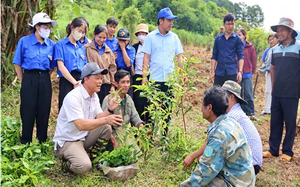 Quảng Ngãi ứng dụng khoa học công nghệ phát triển chăn nuôi lợn an toàn sinh học - Ảnh 3.