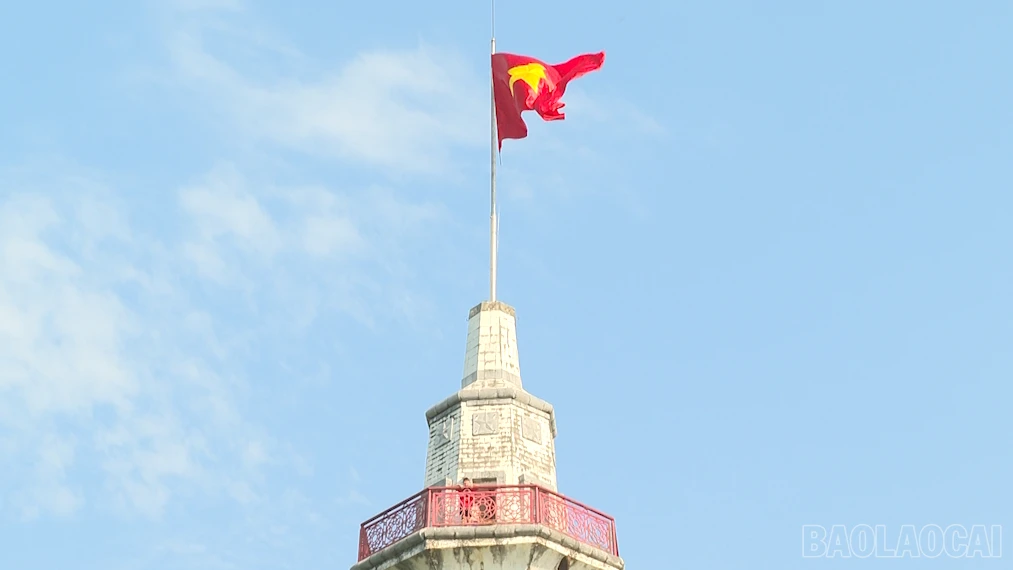baolaocai-br_2026-09-02-115416.png