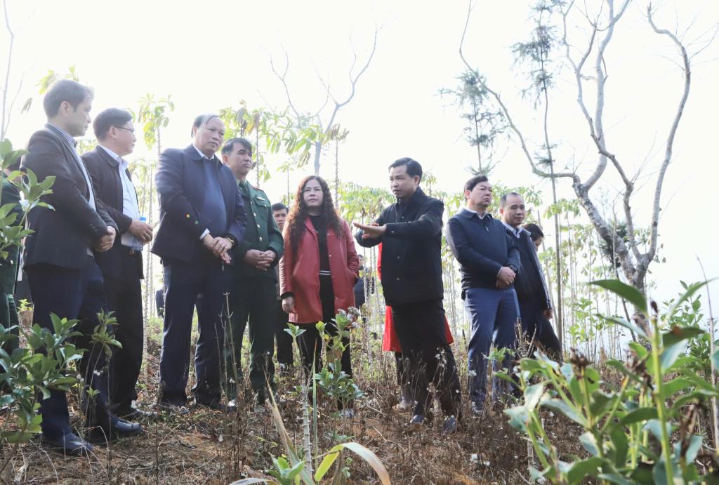 Ph&oacute; B&iacute; thư Thường trực Tỉnh ủy, Chủ tịch HĐND tỉnh Bế Thanh Tịnh khảo s&aacute;t vị tr&iacute; x&acirc;y dựng trường nội tr&uacute; li&ecirc;n cấp tại x&atilde; Cốc P&agrave;ng.