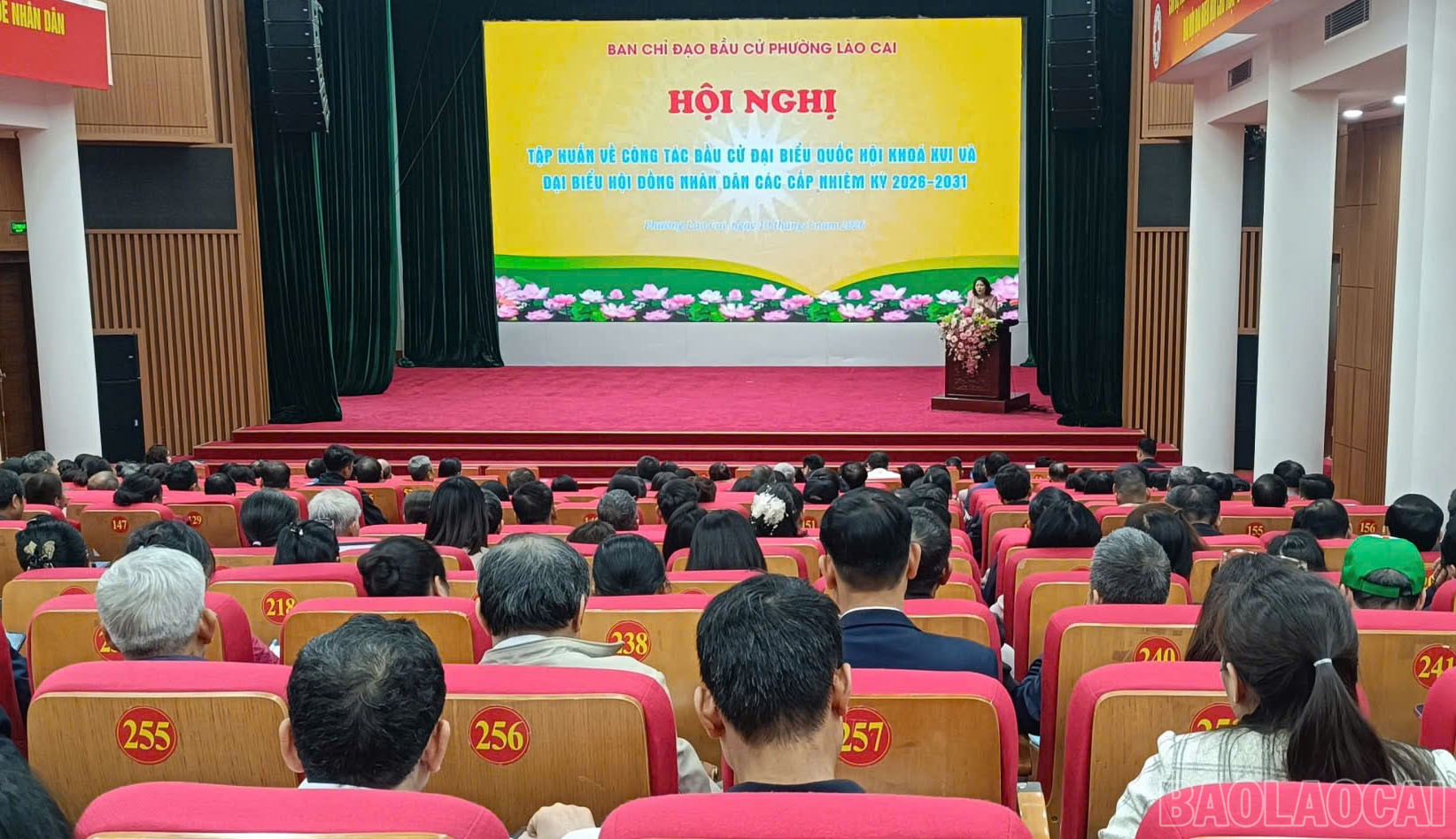 baolaocai-br_quang-canh.jpg
