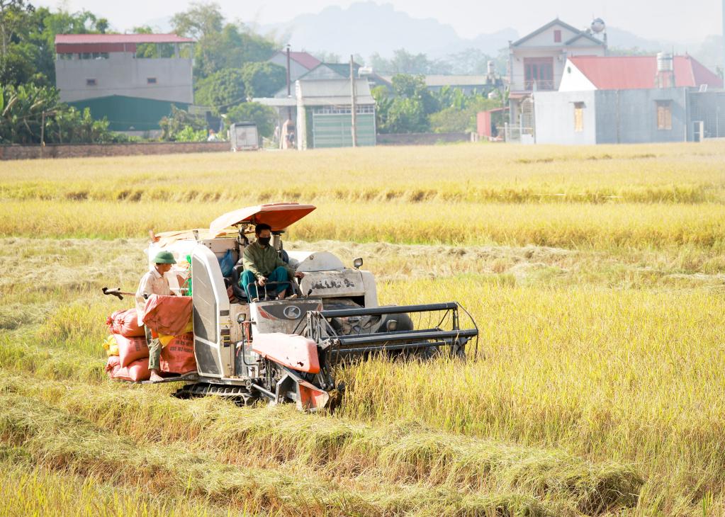 N&ocirc;ng d&acirc;n phường Thục Ph&aacute;n đưa cơ giới h&oacute;a v&agrave;o sản xuất n&ocirc;ng nghiệp.