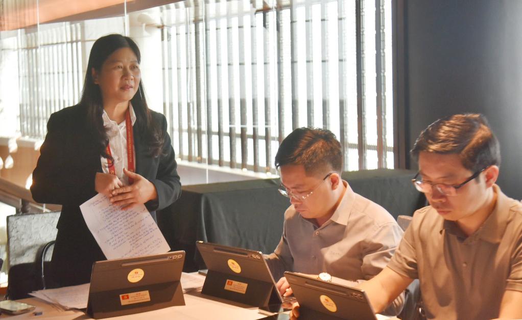 C&aacute;c đại biểu ph&aacute;t biểu thảo luận.