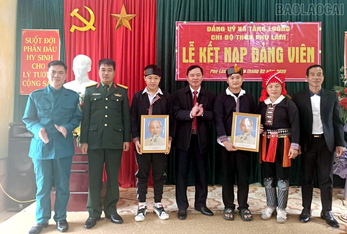 baolaocai-tr_dvtl2.jpg