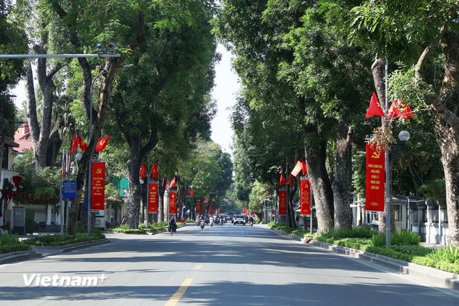 Hệ thống cờ Tổ quốc, cờ Đảng, băng r&ocirc;n cổ động, ch&agrave;o mừng được treo ngay ngắn v&agrave; nổi bật dọc hai b&ecirc;n phố L&ecirc; Hồng Phong.