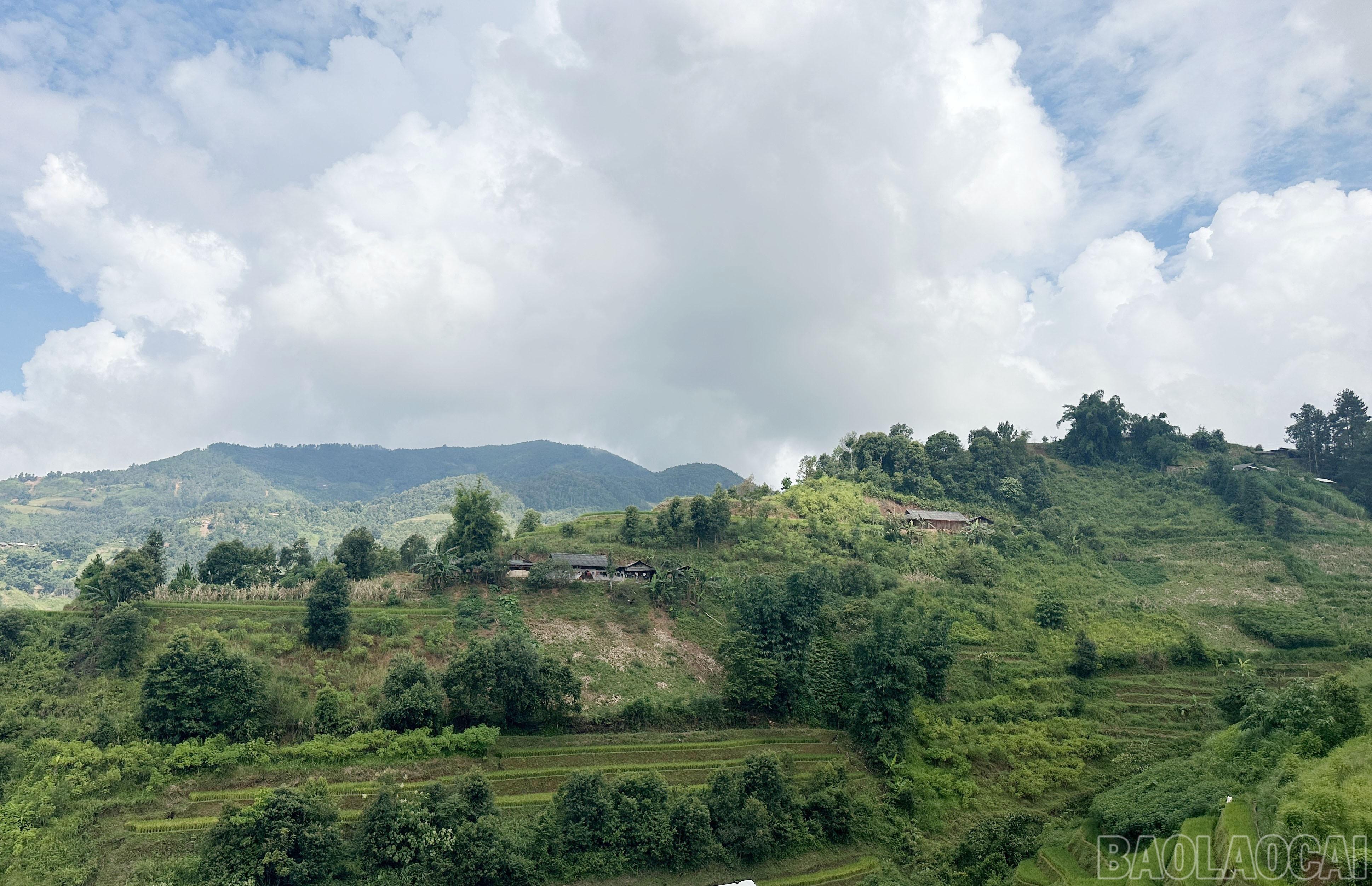 Nơi này đã từng có con đường mòn dẫn vào bản.