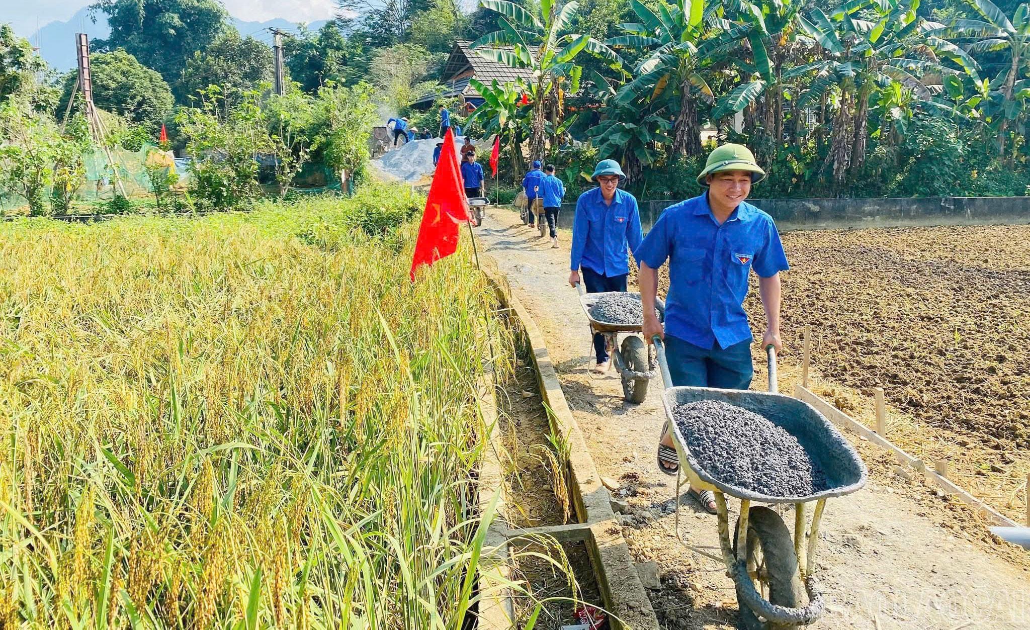 Giai đoạn 2020 - 2025, Tỉnh đoàn đã thực hiện bê tông hóa trên 100 km đường giao thông nông thôn và xây dựng hơn 300 tuyến đường kiểu mẫu. baolaocai-br_4.jpg
