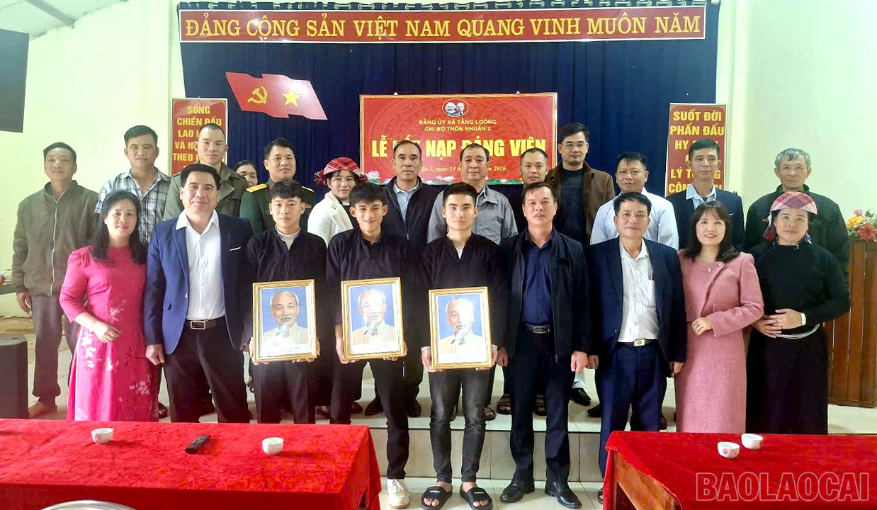 baolaocai-br_dvtl1.jpg