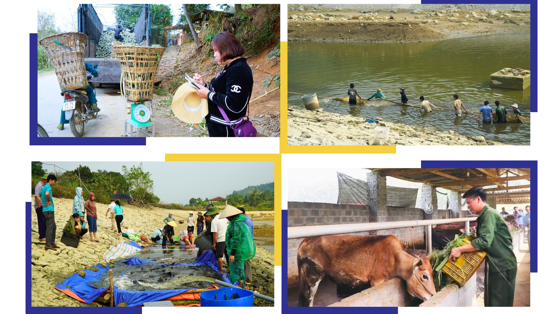 Người dân xã Bản Lầu tích cực sản xuất góp phần giảm nghèo bền vững. img-9603.png