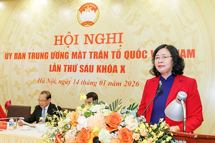 B&agrave; B&ugrave;i Thị Minh Ho&agrave;i, ph&aacute;t biểu tại Hội nghị Ủy ban Trung ương MTTQ Việt Nam lần thứ s&aacute;u kh&oacute;a X.