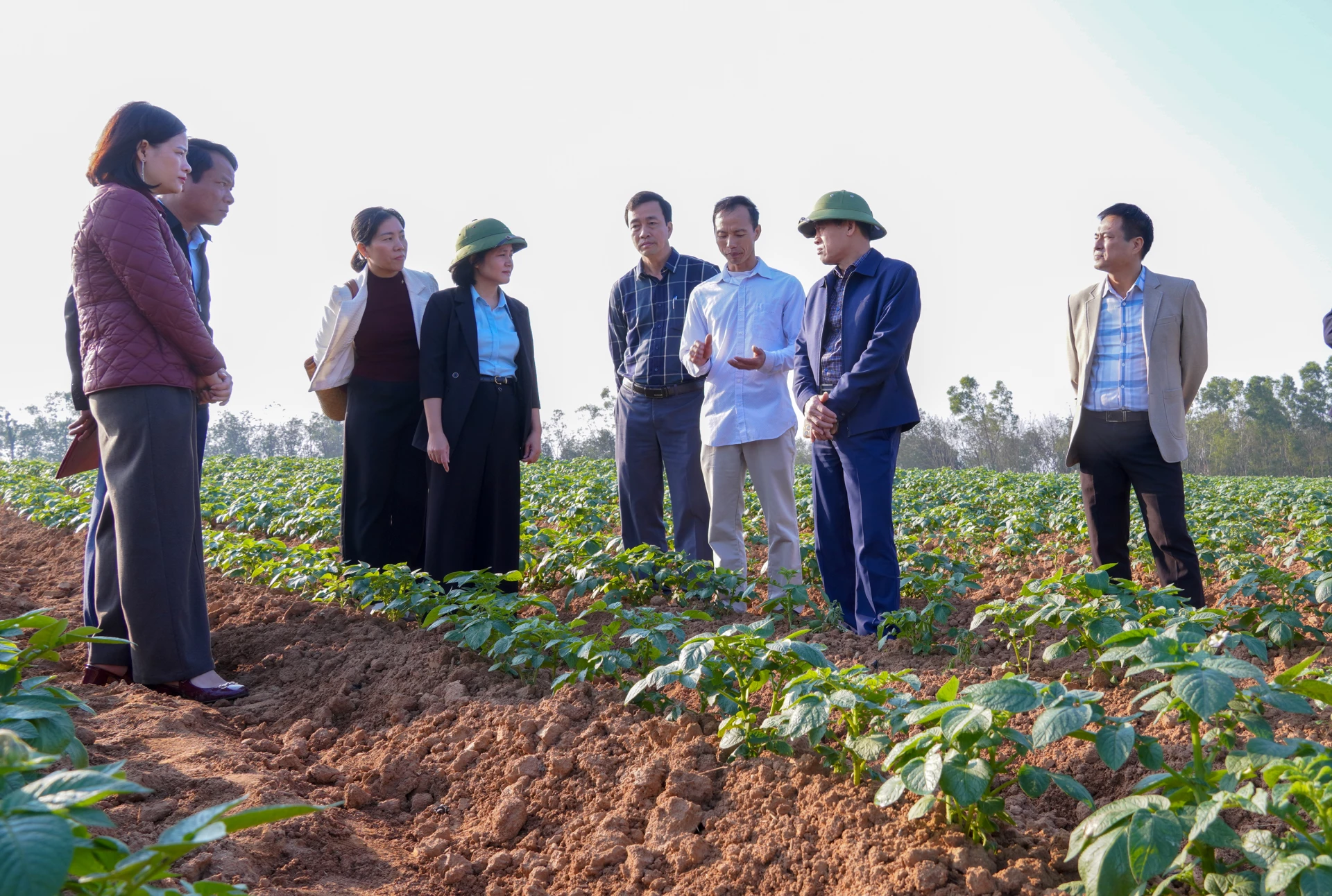 Đồng ch&iacute; Ph&oacute; Chủ tịch UBND tỉnh L&ecirc; Văn Bảo kiểm tra m&ocirc; h&igrave;nh li&ecirc;n kết sản xuất khoai t&acirc;y tại x&atilde; Nam Trạch - Ảnh: N.H