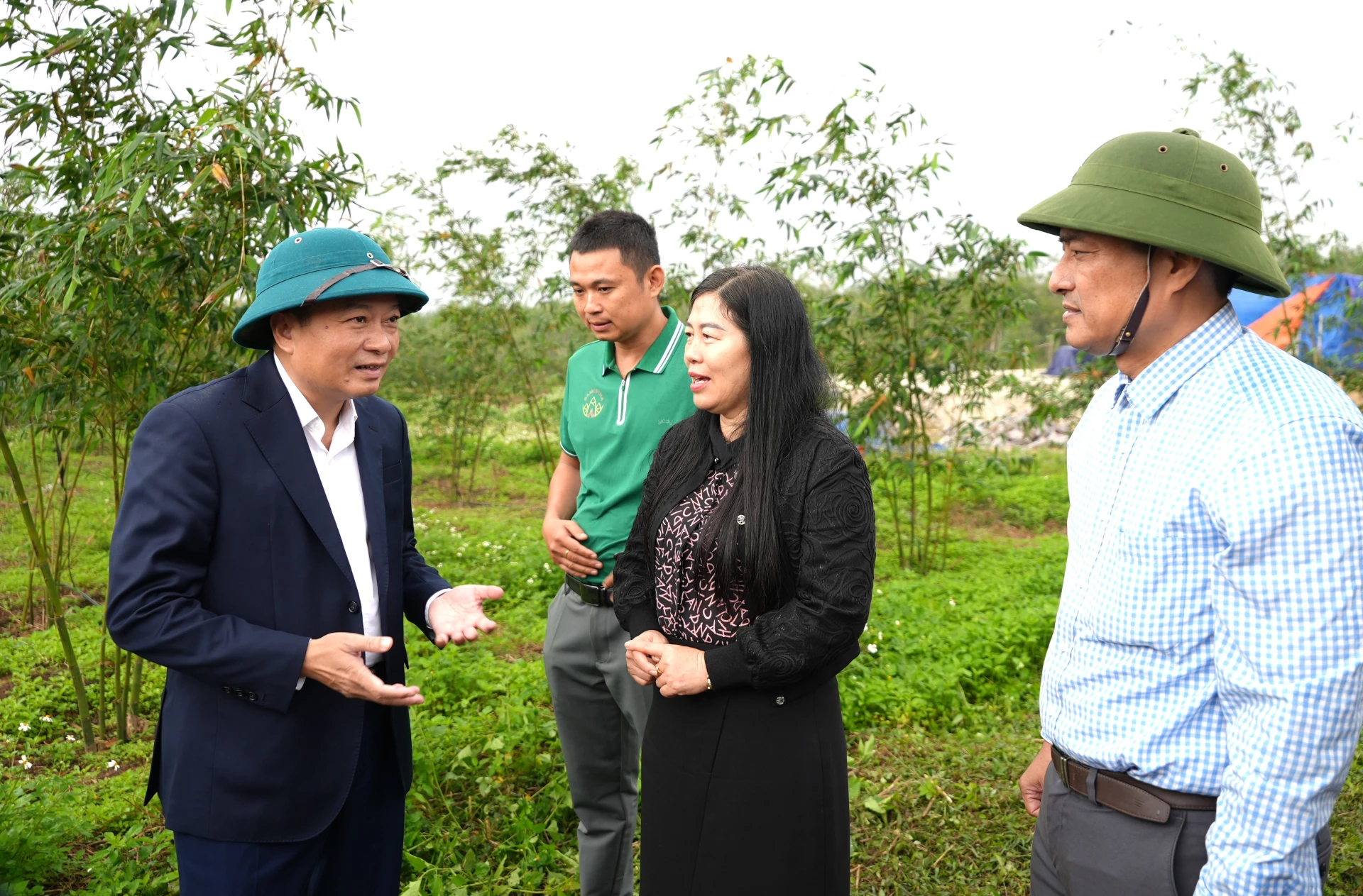 Đồng ch&iacute; L&ecirc; Hồng Vinh, Chủ tịch UBND tỉnh lưu &yacute; doanh nghiệp cần đ&aacute;nh gi&aacute; kỹ hiệu quả trước khi mở rộng v&ugrave;ng trồng Tre lục tr&uacute;c lấy măng - Ảnh: Trung Đức