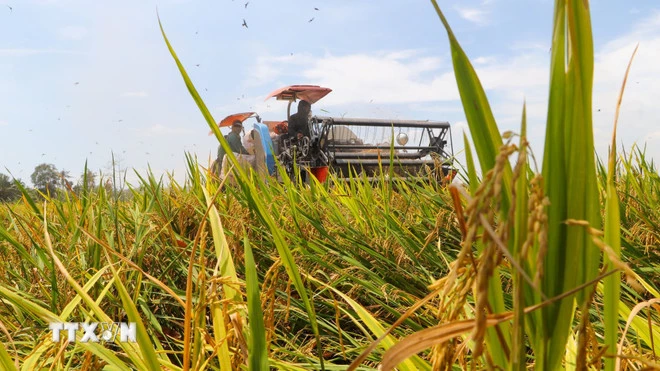 Tăng cường cơ giới h&oacute;a trong n&ocirc;ng nghiệp. (Ảnh: Hồng Th&aacute;i/TTXVN)