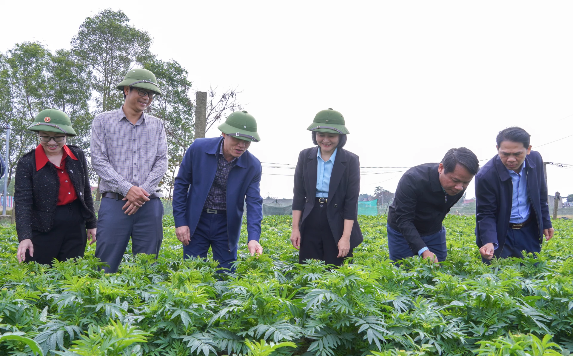Đồng ch&iacute; Ph&oacute; Chủ tịch UBND tỉnh L&ecirc; Văn Bảo thăm, kiểm tra v&ugrave;ng trồng hoa đ&oacute;n Tết B&iacute;nh Ngọ tại x&atilde; Cam Hồng - Ảnh: N.H      