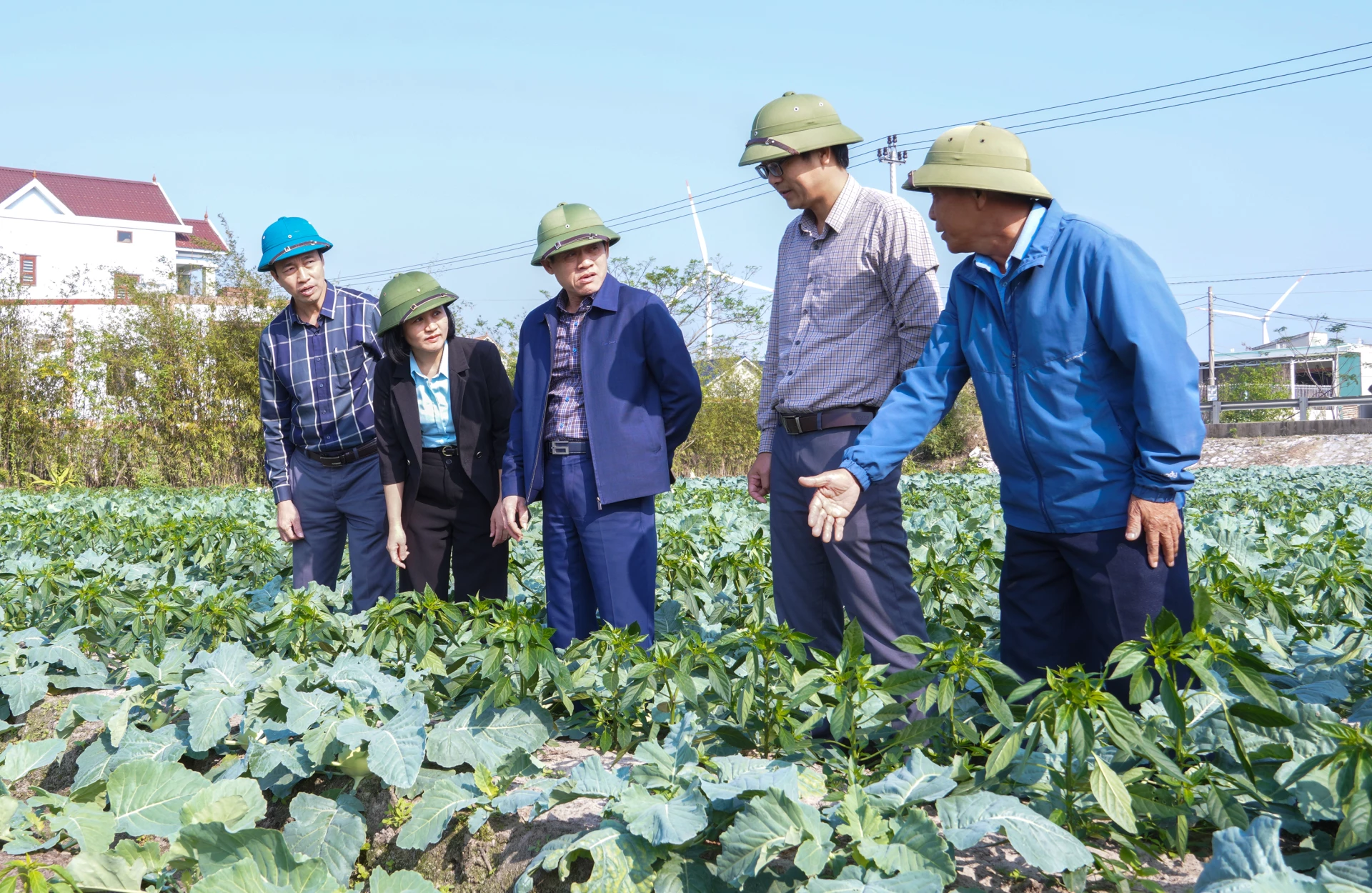 Đồng ch&iacute; Ph&oacute; Chủ tịch UBND tỉnh L&ecirc; Văn Bảo thăm, kiểm tra v&ugrave;ng trồng rau tại x&atilde; Cam Hồng - Ảnh: N.H      