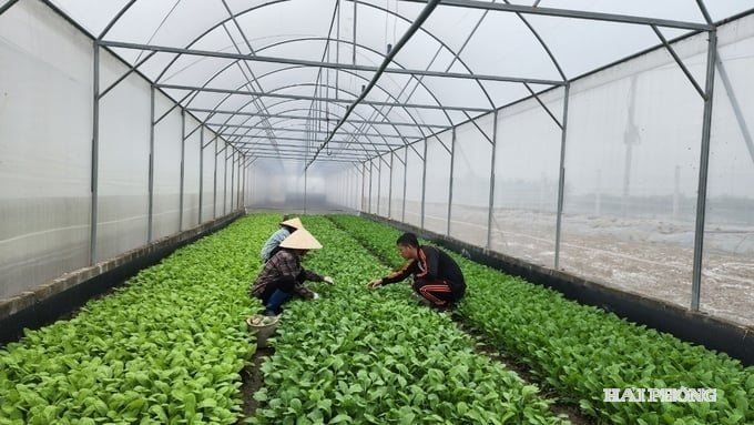 HTX CONG NGHE CAO DAI DONG