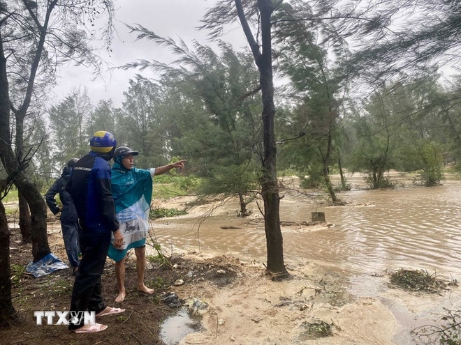 Bão số 5 gây sóng to, gió mạnh tại khu vực đê Hội Thống, xã Đan Hải. (Ảnh: Hữu Quyết/TTXVN) ttxvn-bao-so-5-gay-song-to-gio-manh-tai-tinh-ha-tinh-8233465.jpg