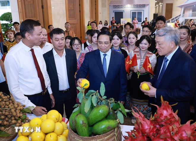 Thủ tướng Phạm Minh Chính tham quan trưng sản phẩm OCOP tại Hội nghị tổng kết Chương trình và Phong trào thi đua “Cả nước chung tay xóa nhà tạm, nhà dột nát”. (Ảnh: Dương Giang/TTXVN) ttxvn-thu-tuong-chu-tri-hoi-nghi-tong-ket-chuong-trinh-va-phong-trao-thi-dua-ca-nuoc-chung-tay-xoa-nha-tam-nha-dot-nat-8234904-9.jpg