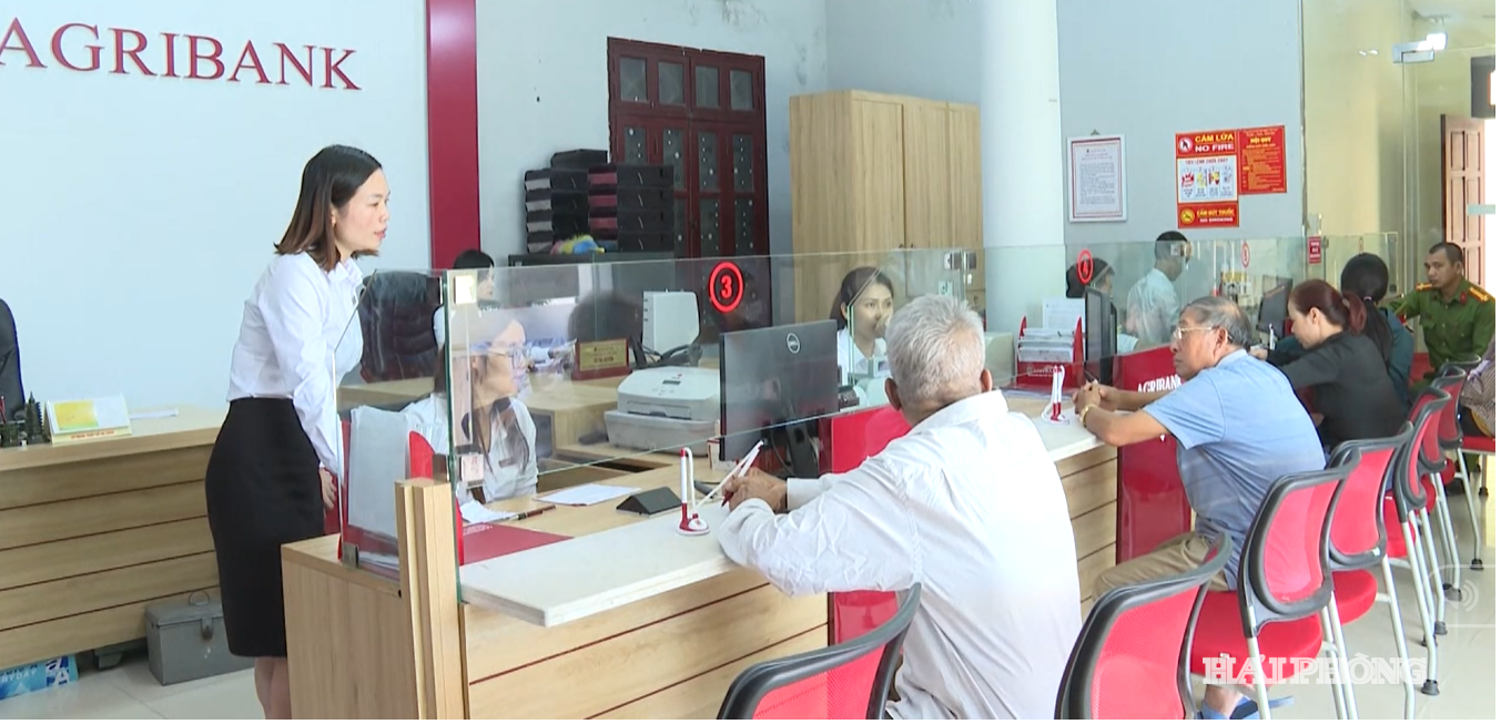 lua dao gn cao tuoi dai hop