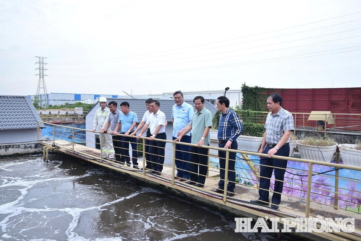 Đoàn giám sát của Quốc hội giám sát tại Khu công nghiệp Nam Cầu Kiền vào sáng 5-8-2025. Ảnh: Trung Kiên.