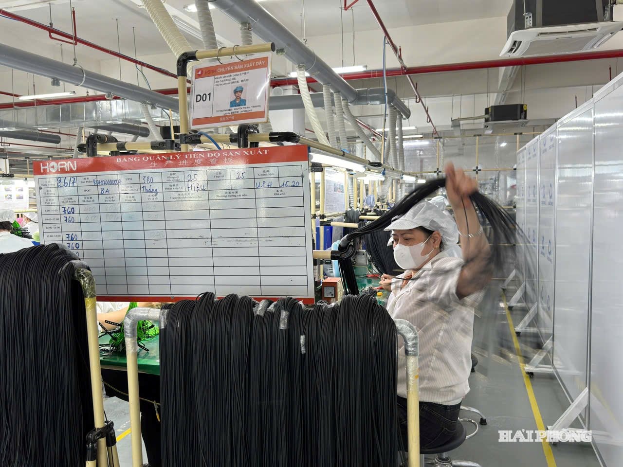 cong-nghiep- hai-phong