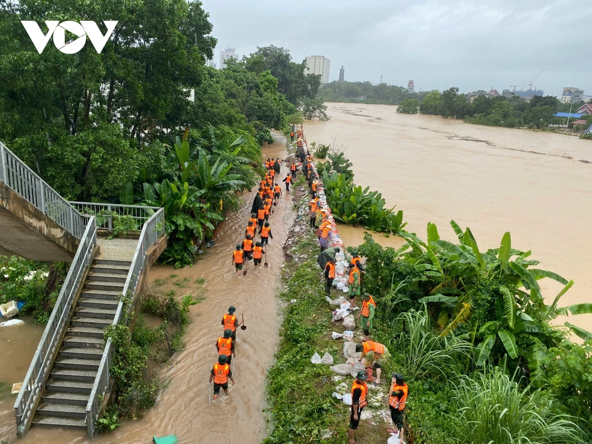mua lon ky luc, thai nguyen khan cap gia co de va so tan nguoi dan hinh anh 7