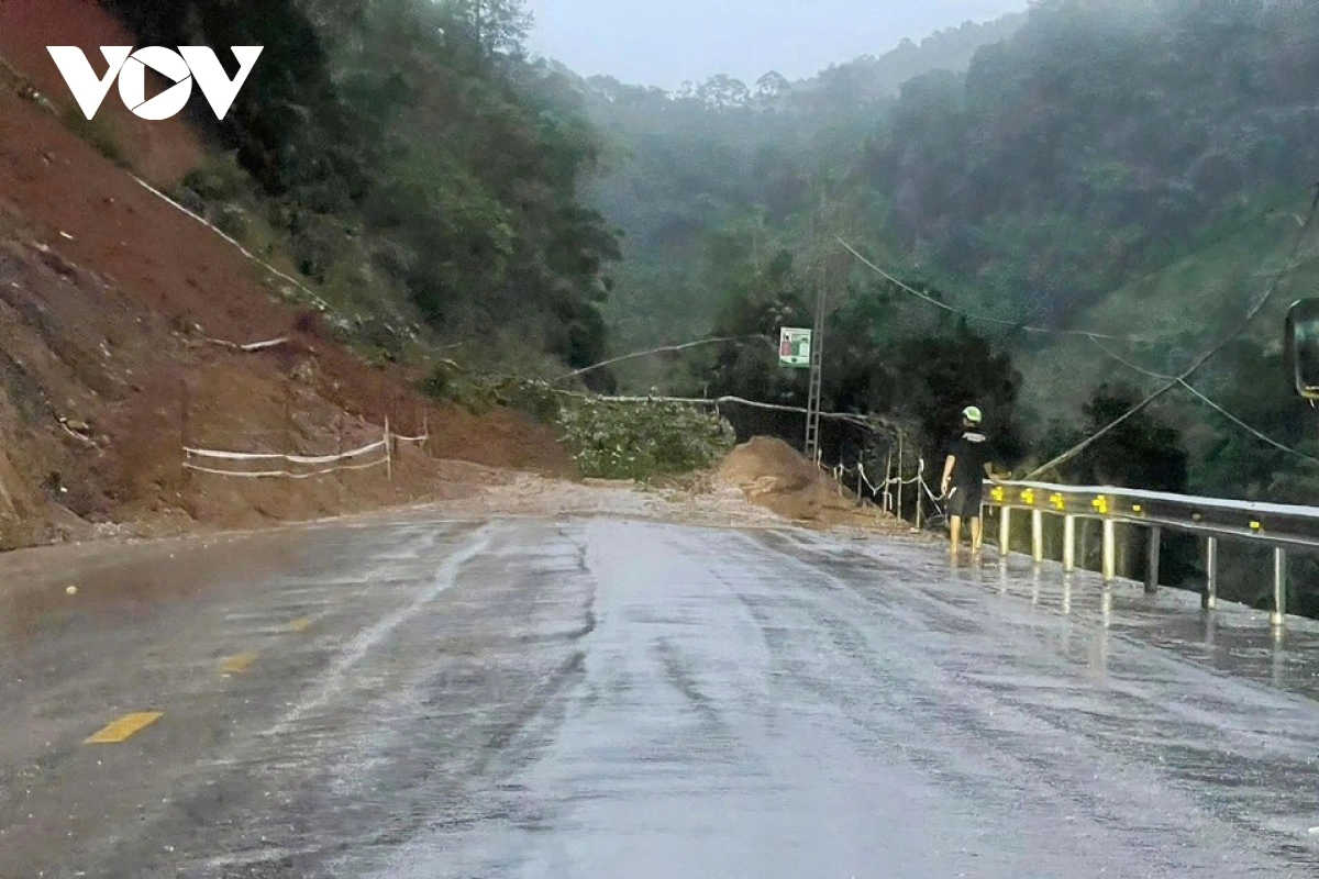 mua lon ky luc, thai nguyen khan cap gia co de va so tan nguoi dan hinh anh 6