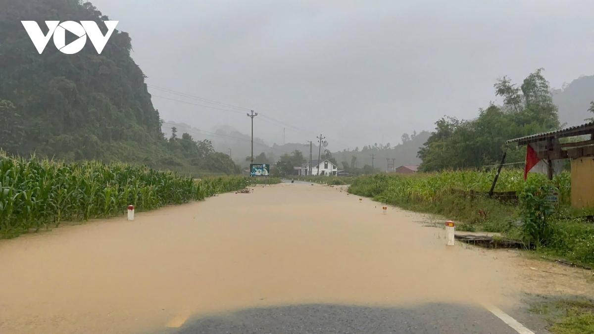 mua lon ky luc, thai nguyen khan cap gia co de va so tan nguoi dan hinh anh 10