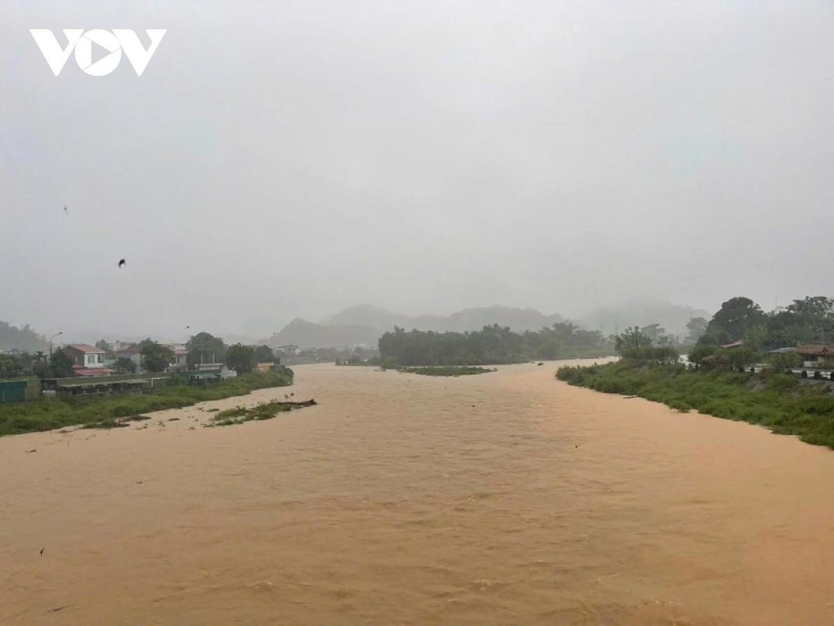 mua lon ky luc, thai nguyen khan cap gia co de va so tan nguoi dan hinh anh 5