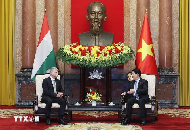 ttxvn-2010-chu-tich-nuoc-viet-nam-hungary-3.jpg