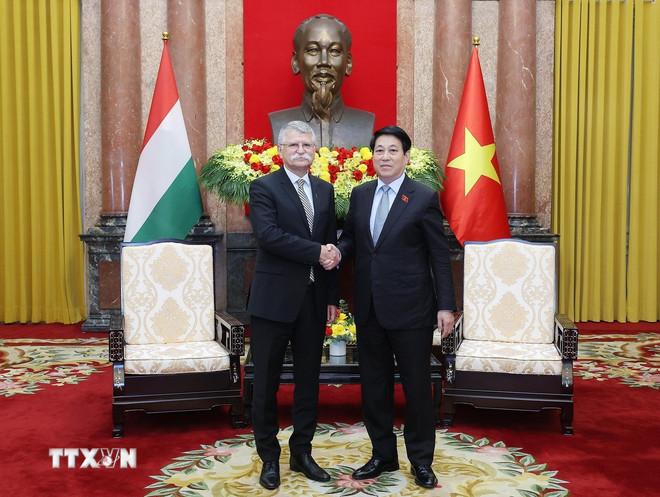 ttxvn-chu-tich-nuoc-luong-cuong-tiep-chu-tich-quoc-hoi-hungary-1.jpg