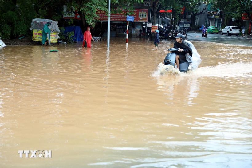 (Ảnh minh họa: Quang Cường/TTXVN)