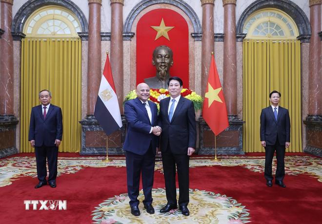 Chủ tịch nước Lương Cường tiếp Đại sứ Ai Cập Hany Mostafa Mohamed Mostafa Hassan trình Quốc thư, nhận nhiệm vụ tại Việt Nam. (Ảnh: Lâm Khánh/TTXVN) ttxvn-chu-tich-nuoc-tiep-dai-su-ai-cap-trinh-quoc-thu-12-2.jpg