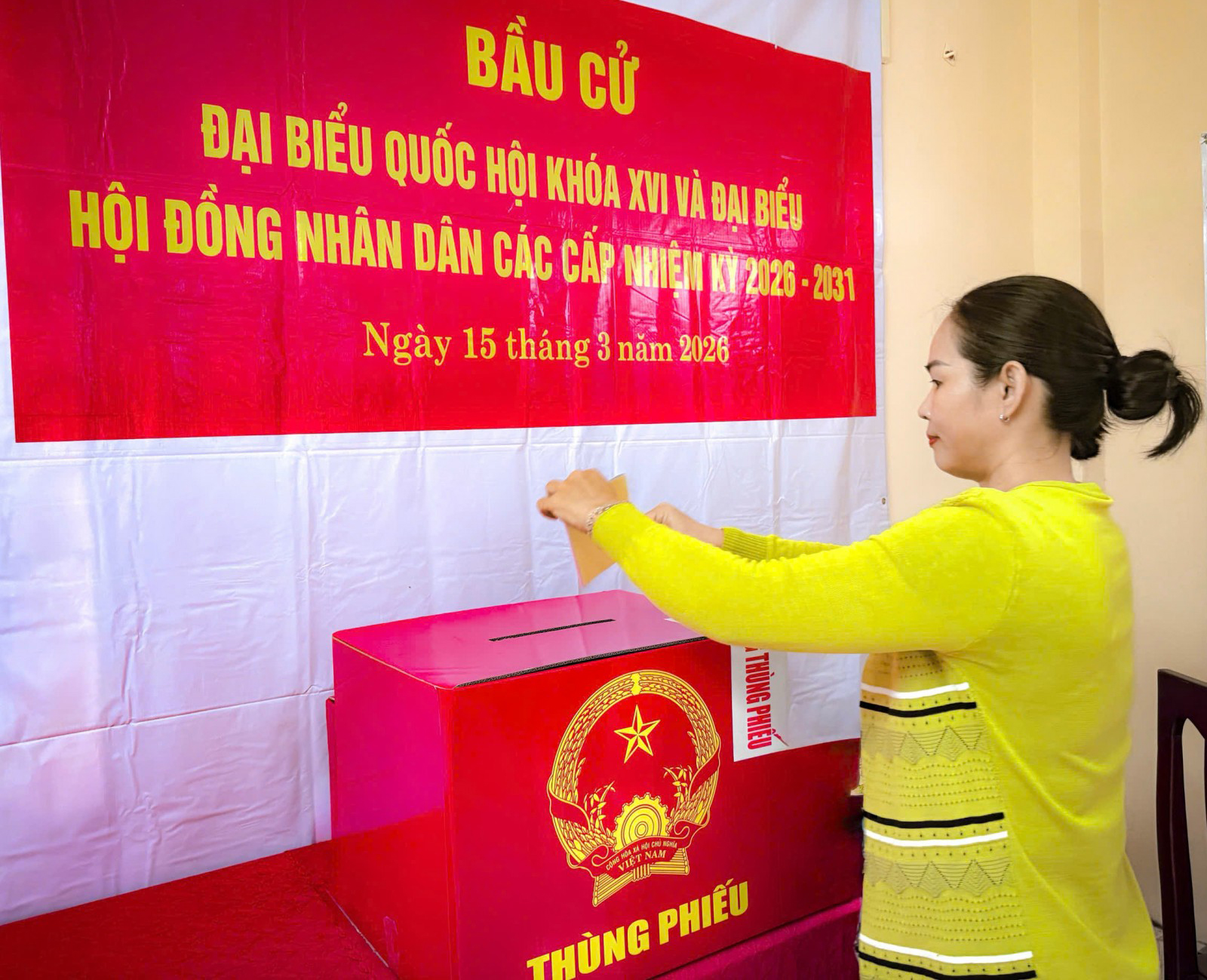 Bầu cử tại An Giang thành công tốt đẹp, bảo đảm dân chủ, đúng quy định