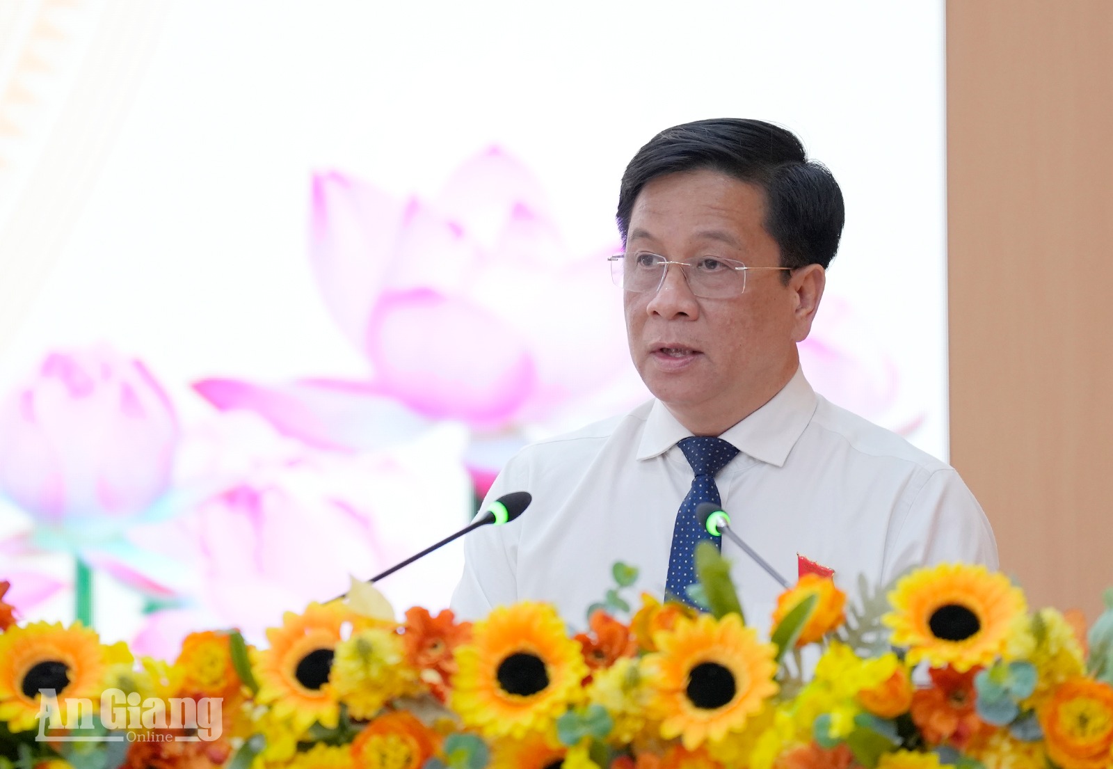 An Giang thông qua 20 nghị quyết, quyết xử lý dứt điểm 474 dự án vướng mắc