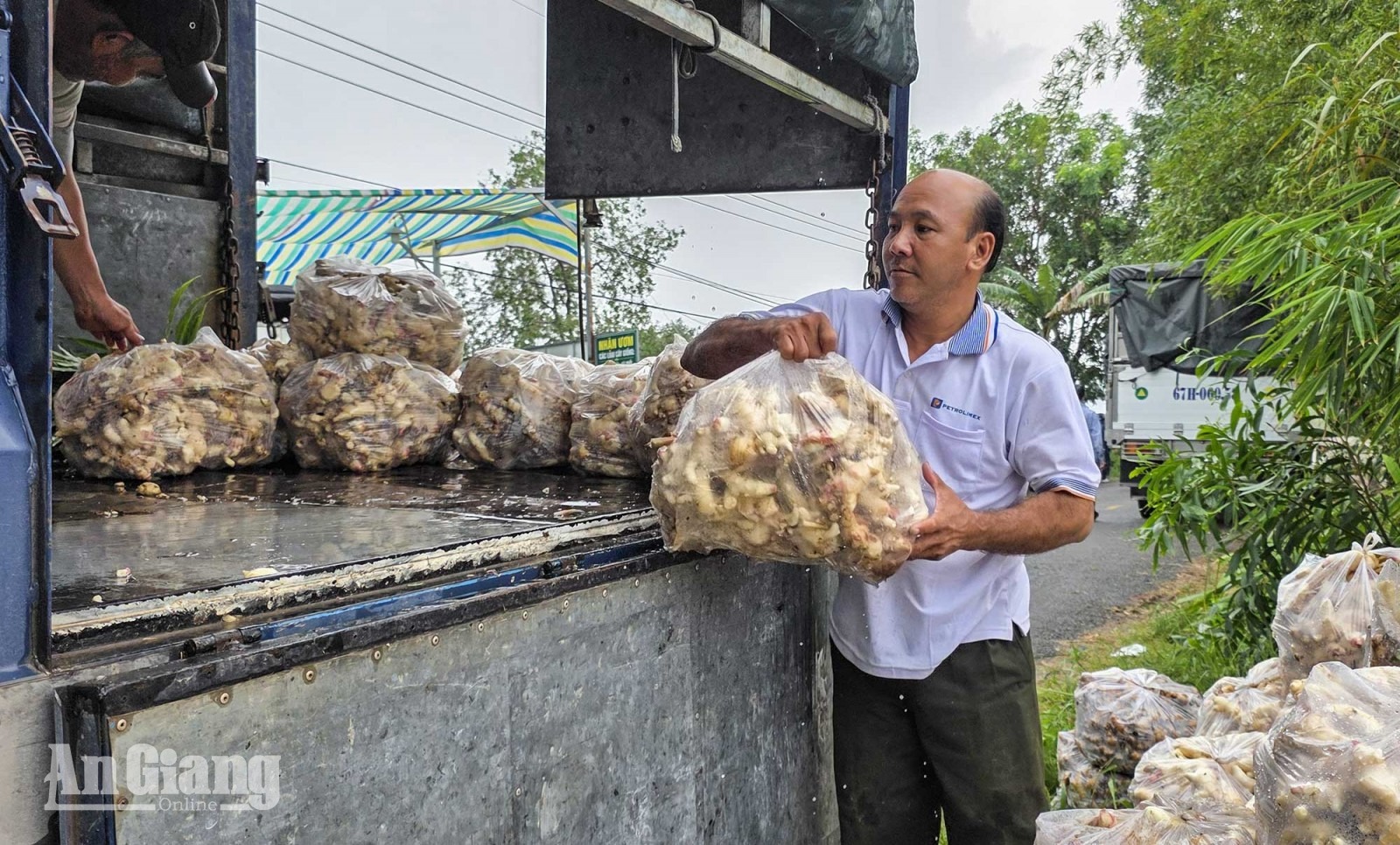 U Minh Thượng có 6.385ha nông nghiệp trước nguy cơ ngập, nông dân chạy lũ