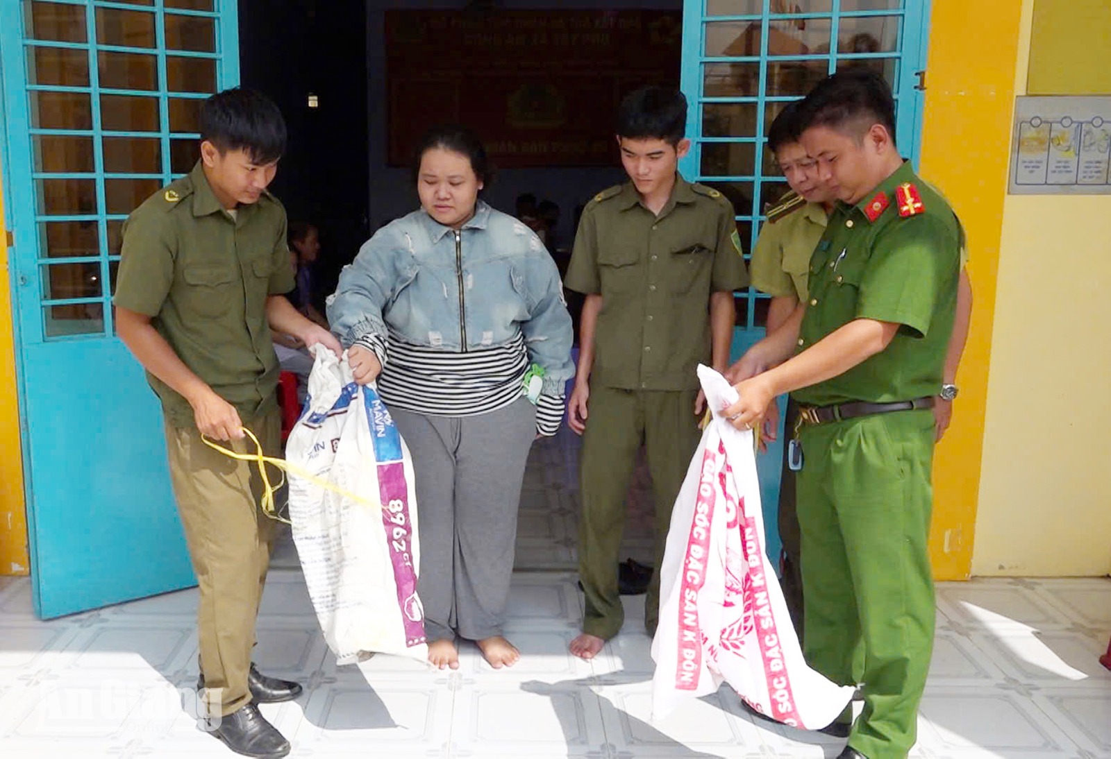 Người dân Tây Phú giao nộp hai cá thể rồng Nam Mỹ