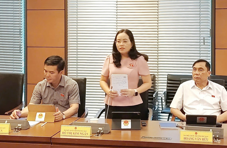 Đại biểu Hồ Thị Kim Ngân, Tỉnh ủy viên, Bí thư Huyện ủy Chợ Mới tham gia thảo luận Tổ. z6587834451801-8e8b0e1993b503613020d1117f000da5.jpg