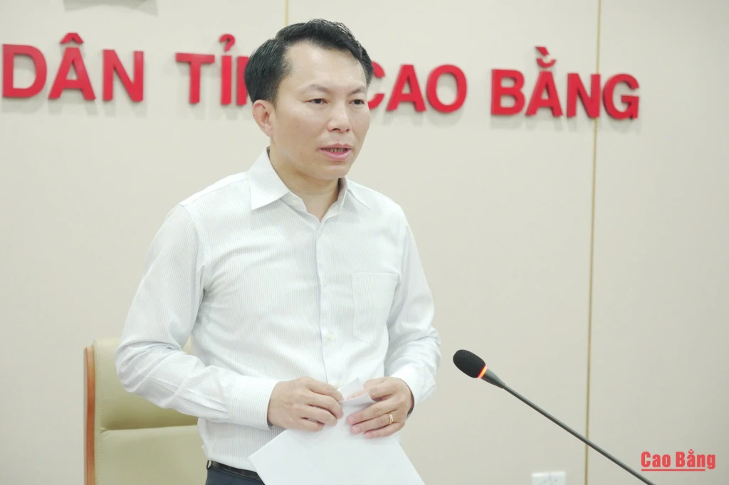 Phó Chủ tịch Thường trực UBND tỉnh Lương Tuấn Hùng phát biểu kết luận cuộc họp.