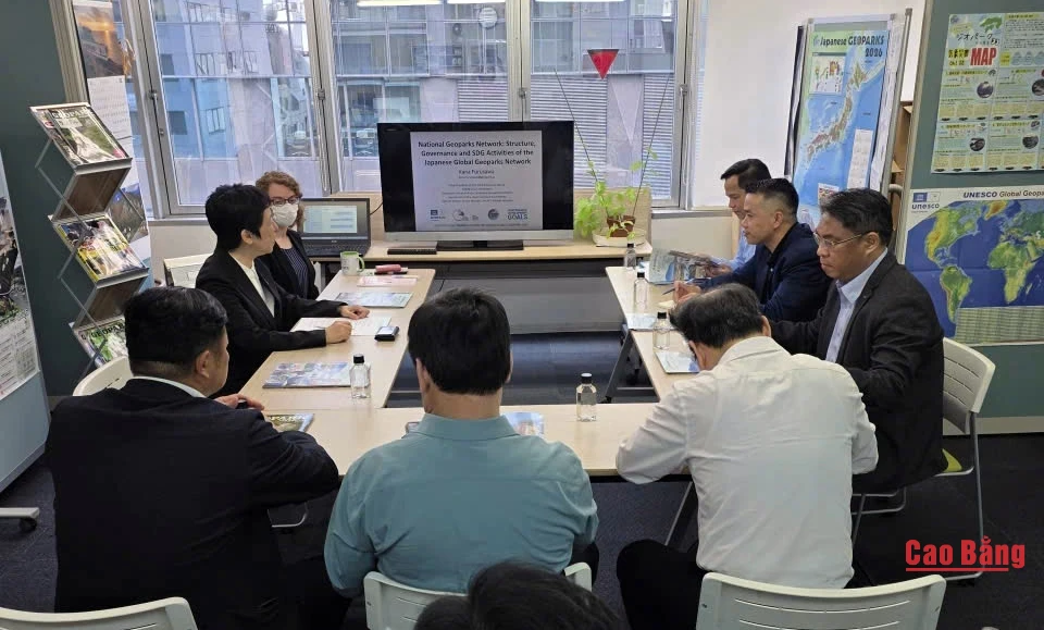 Các đại biểu dự buổi làm việc.