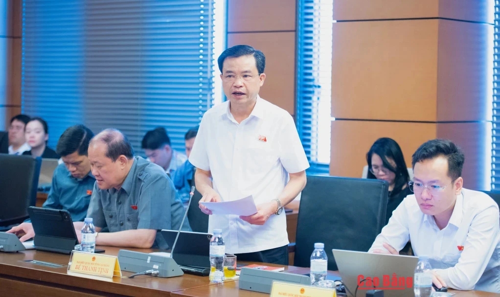 Đại biểu Bế Thanh Tịnh, Phó Bí thư Thường trực Tỉnh ủy, Trưởng Đoàn đại biểu Quốc hội tỉnh phát biểu thảo luận tại tổ.