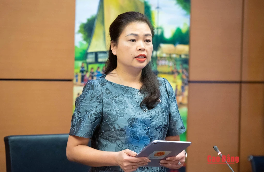 Đại biểu Đoàn Thị Lê An, Phó Chủ tịch Ủy ban Mặt trận Tổ quốc tỉnh, Chủ tịch Hội Liên hiệp Phụ nữ tỉnh phát biểu thảo luận tại tổ.