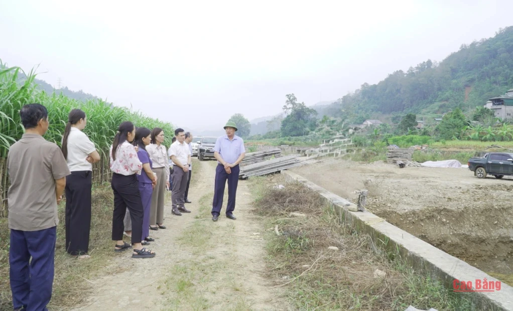 Đoàn kiểm tra thực địa công trình khắc phục công trình đập Nà Phát, xóm Bản Nùng, xã Nguyên Bình.