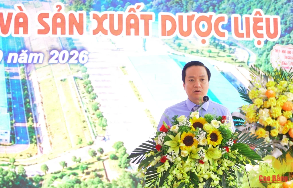 Chủ tịch UBND tỉnh Lê Hải Hòa phát biểu tại buổi lễ.