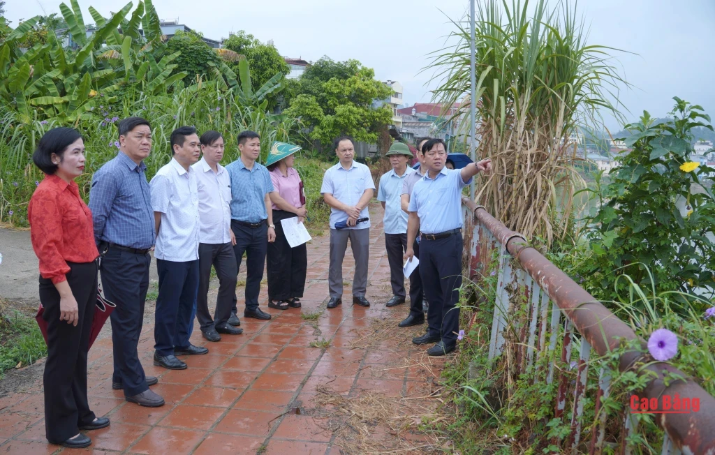 Đoàn khảo sát thực tế dự án cầu Ngọc Xuân, phường Nùng Trí Cao.