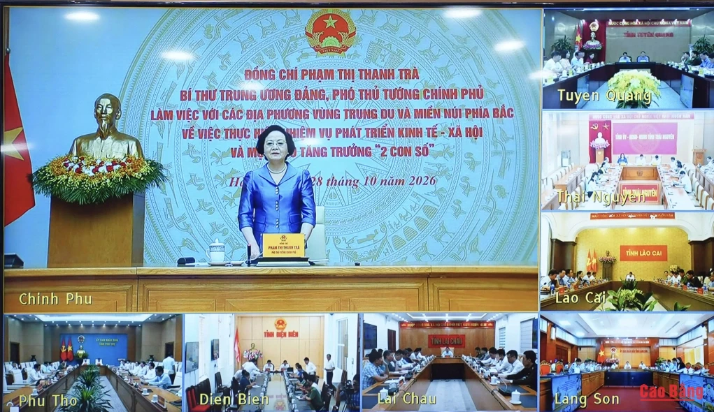 Phó Thủ tướng Chính phủ Phạm Thị Thanh Trà kết luận buổi làm việc.