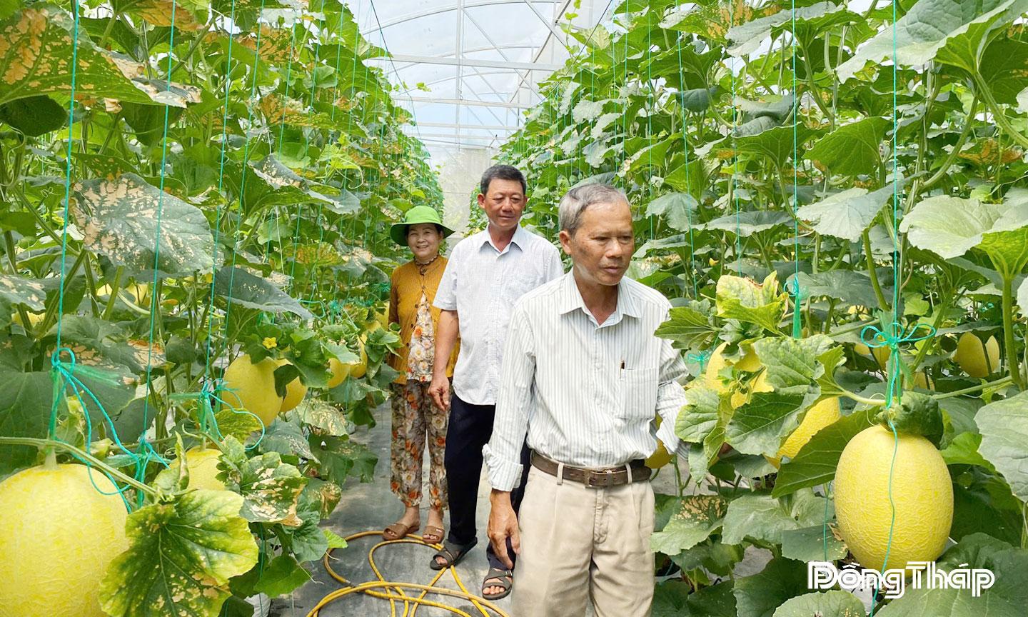 Nhờ đẩy mạnh chuyển đổi cơ cấu cây trồng, ứng dụng khoa học công nghệ vào sản xuất nông nghiệp giúp nông dân nâng cao thu nhập, góp phần phát triển kinh tế - xã hội địa phương (Trong ảnh: Cán bộ nông nghiệp tham quan mô hình trồng dưa lưới trong nhà màng của nông dân sản xuất, kinh doanh giỏi Trần Thanh Tùng, ngụ ấp Lợi An, xã Long Bình). Ảnh: KIM LAN