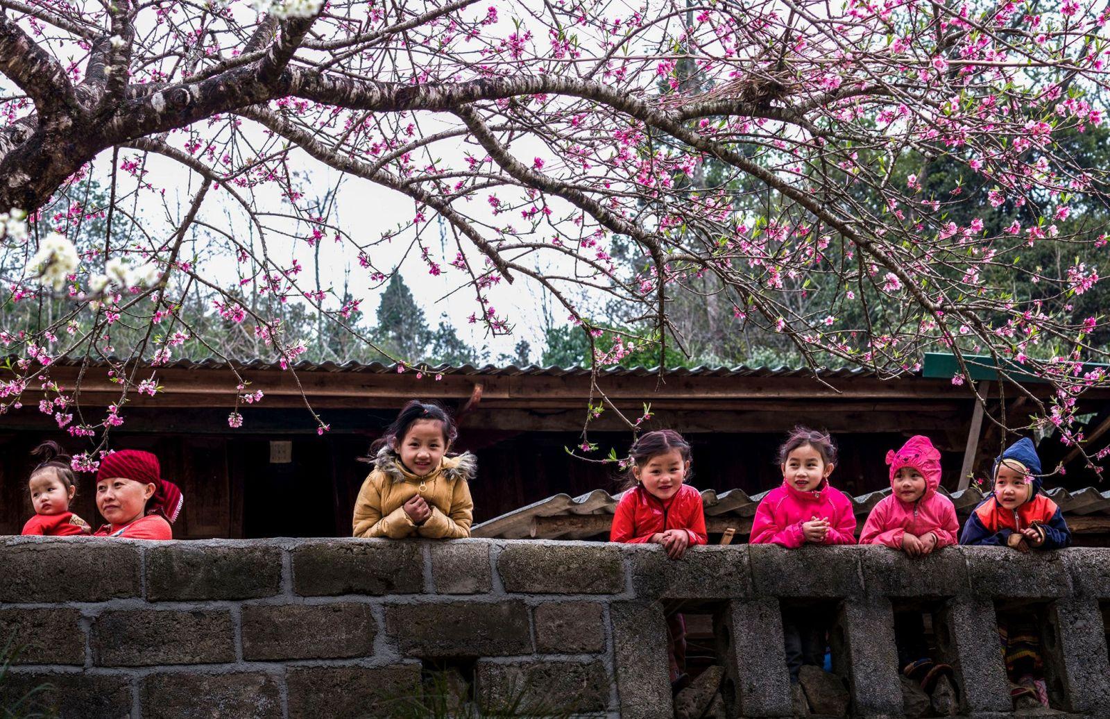 Ban B&iacute; thư y&ecirc;u cầu bảo đảm mọi nh&agrave;, mọi người d&acirc;n đều được vui Xu&acirc;n, đ&oacute;n Tết cổ truyền B&iacute;nh Ngọ năm 2026 an to&agrave;n, l&agrave;nh mạnh, tiết kiệm.