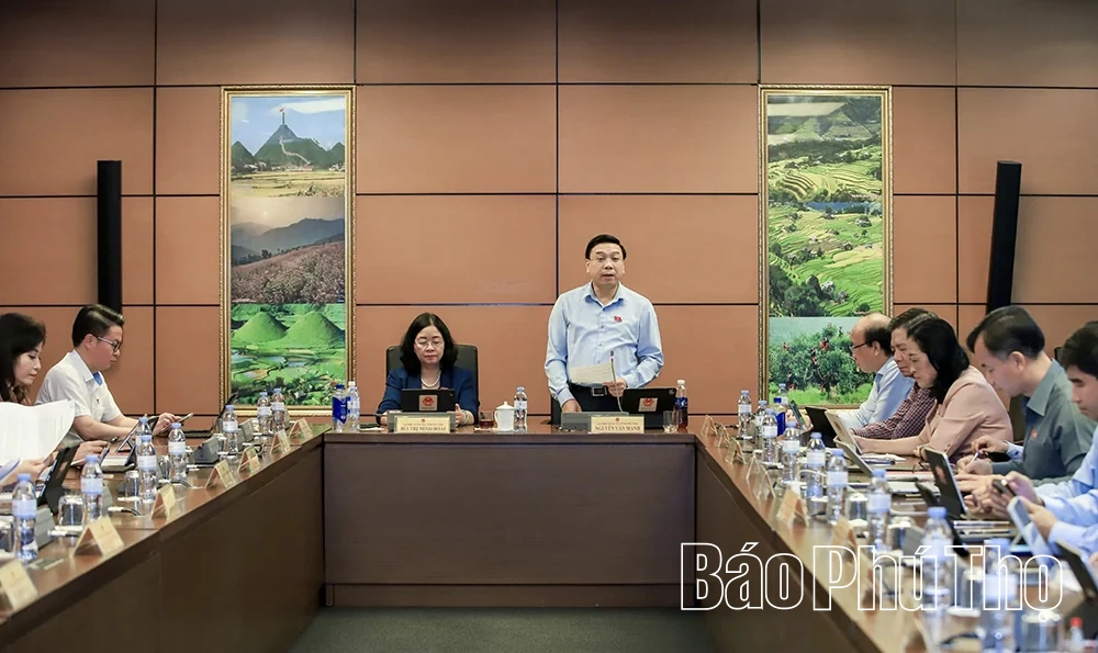 Đại biểu Quốc hội tỉnh thảo luận các dự án luật về hiến, lấy, ghép mô, bộ phận cơ thể người và phòng, chống tác hại của thuốc lá