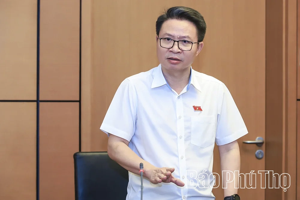 Đại biểu Quốc hội tỉnh thảo luận các dự án luật về hiến, lấy, ghép mô, bộ phận cơ thể người và phòng, chống tác hại của thuốc lá